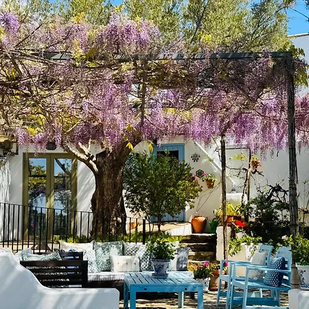 Holiday home Almond Hill House *